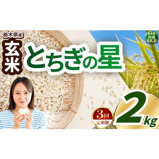 ふるさと納税 玄米 栃木県 真岡市 先行予約 定期便3回 訳あり令和8年度産 玄米 約2kg とちぎの星 | 真岡市産 米 お米 こめ 玄米 ご飯 ごはん とちぎの星 大粒…