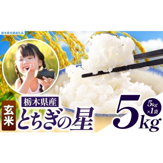 ふるさと納税 玄米 栃木県 真岡市 先行予約 令和8年度産 玄米 約5kg とちぎの星 | 真岡市産 米 お米 こめ 玄米 ご飯 ごはん とちぎの星 大粒 限定 ふるさと納…