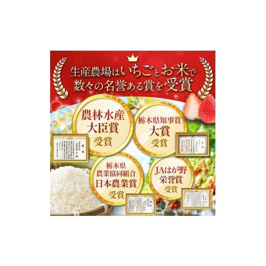 ふるさと納税 玄米 栃木県 真岡市 先行予約 令和8年度産 玄米 約10kg とちぎの星 | 真岡市産 米 お米 こめ 玄米 ご飯 ごはん とちぎの星 大粒 限定 ふるさと…_2