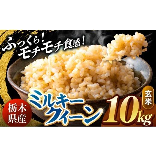 ふるさと納税 米 ミルキークイーン 栃木県 真岡市 先行予約 令和8年度産 玄米 約10kg ミルキークイーン | 米 お米 こめ 玄米 ご飯 ごはん もちもち ミルキー…