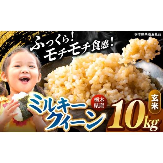 ふるさと納税 米 ミルキークイーン 栃木県 真岡市 先行予約 令和8年度産 玄米 約10kg ミルキークイーン | 真岡市産 米 お米 こめ 玄米 ご飯 ごはん もちもち …_1