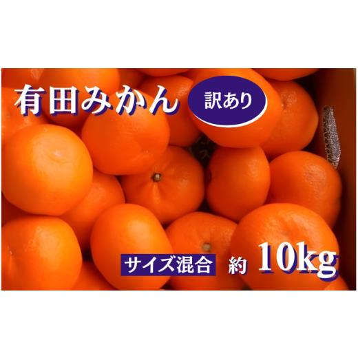 ふるさと納税 果物類 みかん 和歌山県 広川町 紀州 有田 みかん 訳あり キズ 10kg サイズ混合 家庭用 11月下旬〜翌年1月中旬頃に順次発送予定 北海道・沖縄・…