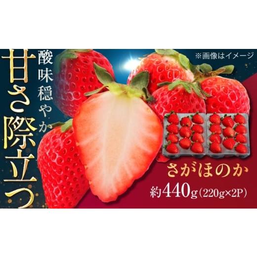ふるさと納税 いちご 佐賀県 武雄市 佐賀県産イチゴ「さがほのか」約440g(220g×2パック) /有限会社しげやす