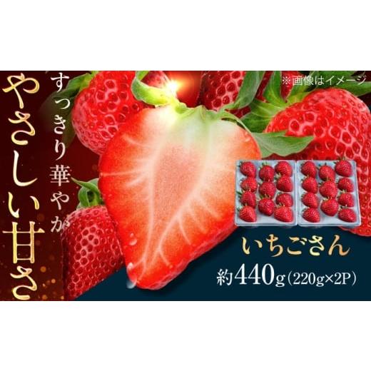 ふるさと納税 いちご 佐賀県 武雄市 佐賀県産イチゴ「いちごさん」約440g(220g×2パック) /有限会社しげやす