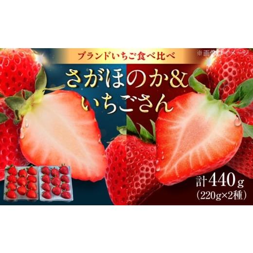 ふるさと納税 いちご 佐賀県 武雄市 佐賀県産いちご2種食べ比べセット「さがほのか・いちごさん」約440g(220g×2種) /有限会社しげやす