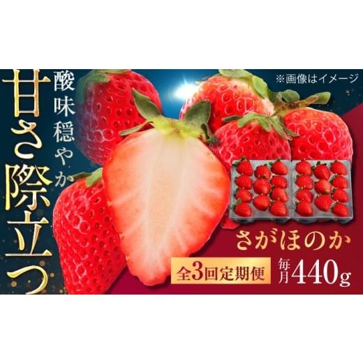 ふるさと納税 いちご 佐賀県 武雄市 3回定期便 佐賀県産イチゴ「さがほのか」約440g(220g×2パック) /有限会社しげやす
