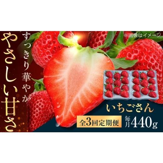 ふるさと納税 いちご 佐賀県 武雄市 3回定期便 佐賀県産イチゴ「いちごさん」約440g(220g×2パック) /有限会社しげやす