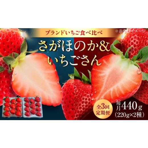 ふるさと納税 いちご 佐賀県 武雄市 3回定期便 赤いちご食べ比べ定期便(毎月 約440g) /有限会社しげやす