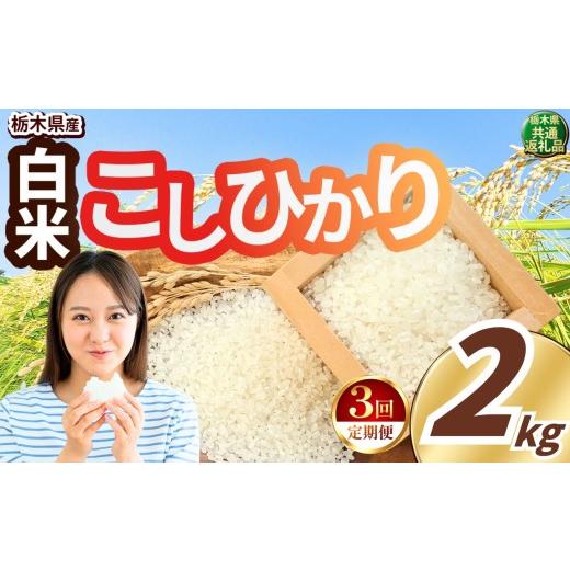 ふるさと納税 玄米 栃木県 真岡市 先行予約 定期便3回 訳あり令和8年度産 白米 約2kg こしひかり | 真岡市産 米 お米 こめ 白米 ご飯 ごはん もちもち コシヒ…