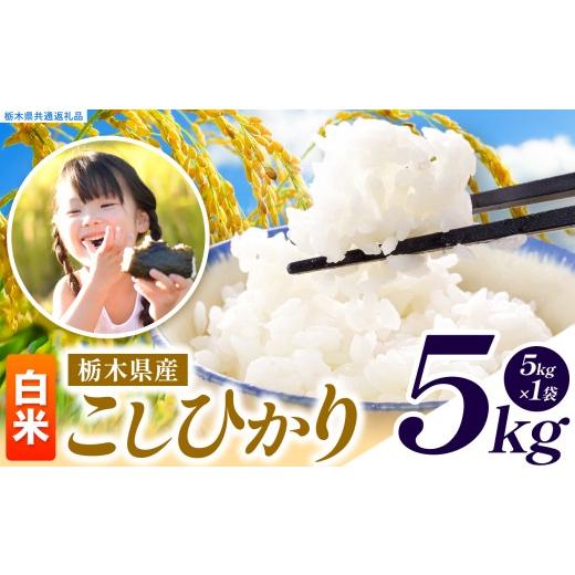 ふるさと納税 米 コシヒカリ 栃木県 真岡市 先行予約 令和8年度産 白米 約5kg こしひかり | 真岡市産 米 お米 こめ 白米 ご飯 ごはん もちもち コシヒカリ 限…