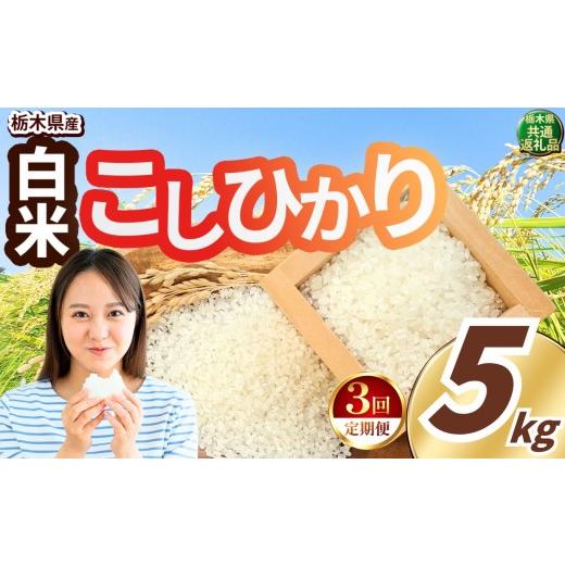 ふるさと納税 玄米 栃木県 真岡市 定期便3回 先行予約 令和8年度産 白米 約5kg こしひかり | 真岡市産 米 お米 こめ 白米 ご飯 ごはん もちもち コシヒカリ …