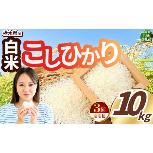 ふるさと納税 玄米 栃木県 真岡市 先行予約 定期便3回 令和8年度産 白米 約10kg こしひかり | 真岡市産 米 お米 こめ 白米 ご飯 ごはん もちもち コシヒカリ …