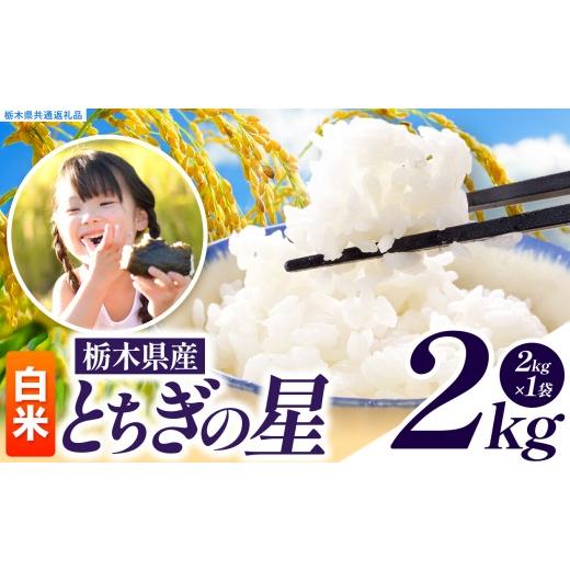 ふるさと納税 米 栃木県 真岡市 先行予約 令和8年度産 白米 約2kg とちぎの星 | 真岡市産 米 お米 こめ 白米 ご飯 ごはん 大粒 とちぎのほし 限定 ふるさと納…