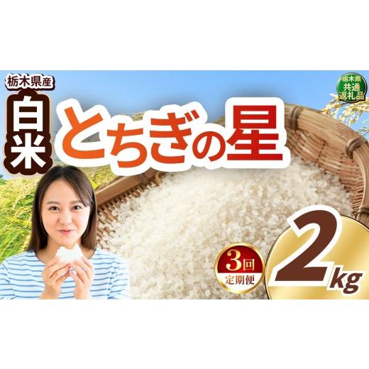 ふるさと納税 米 栃木県 真岡市 先行予約 定期便3回 訳あり 令和8年度産 白米 約2kg とちぎの星 | 真岡市産 米 お米 こめ 白米 ご飯 ごはん 大粒 とちぎのほ…