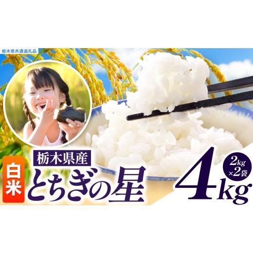 ふるさと納税 米 栃木県 真岡市 先行予約 訳あり 令和8年度産 白米 約4kg とちぎの星 | 真岡市産 米 お米 こめ 白米 ご飯 ごはん 大粒 とちぎのほし 限定 ふ…