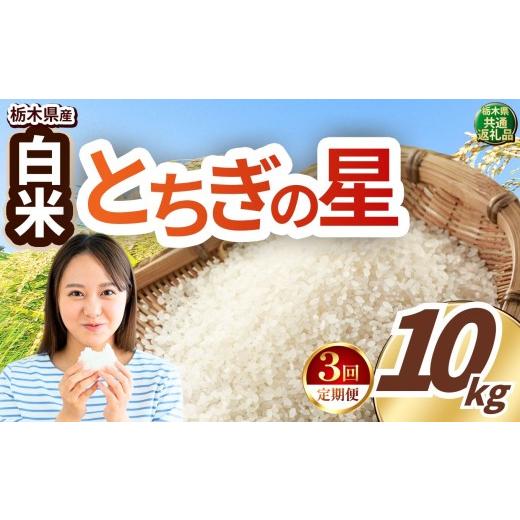 ふるさと納税 米 栃木県 真岡市  先行予約 定期便3回 令和8年度産 白米 約10kg とちぎの星 | 真岡市産 米 お米 こめ 白米 ご飯 ごはん 大粒 とちぎのほし 限定…_1