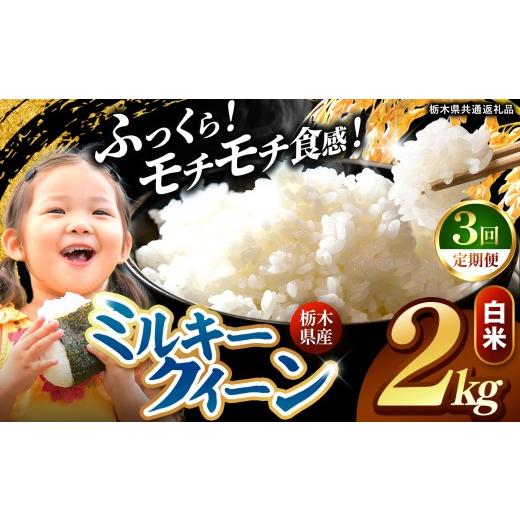 ふるさと納税 米 ミルキークイーン 栃木県 真岡市 先行予約 定期便3回 訳あり 令和8年度産 白米 約2kg ミルキークイーン | 真岡市産 米 お米 こめ 白米 ご飯 …