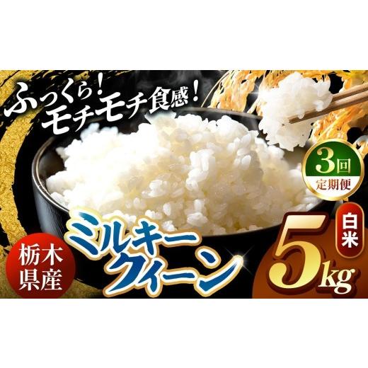 ふるさと納税 米 ミルキークイーン 栃木県 真岡市 先行予約 定期便3回 令和8年度産 白米 約5kg ミルキークイーン | 米 お米 こめ 白米 ご飯 ごはん もちもち …
