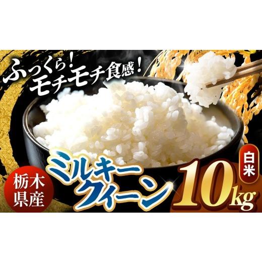 ふるさと納税 米 ミルキークイーン 栃木県 真岡市 先行予約 令和8年度産 白米 約10kg ミルキークイーン | 米 お米 こめ 白米 ご飯 ごはん もちもち ミルキー…