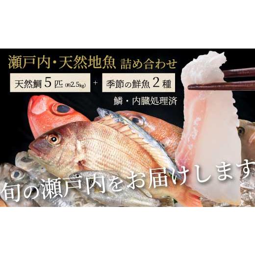 ふるさと納税 魚貝類 鯛 広島県 三原市 瀬戸内産 天然鯛 約2.5kg(500g×5匹/鱗・内臓処理)・鮮魚2種 詰め合わせ 地魚 鯛 天然鯛 真鯛 天然 鮮魚 下処理済 …