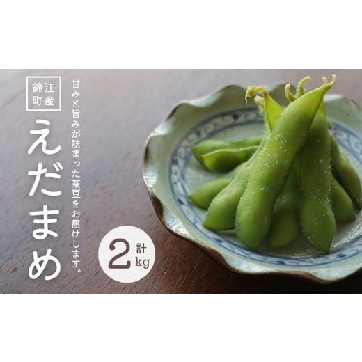 ふるさと納税 豆類 鹿児島県 錦江町 先行受付 No.1417-1 錦江町産枝豆[茶豆]2kg