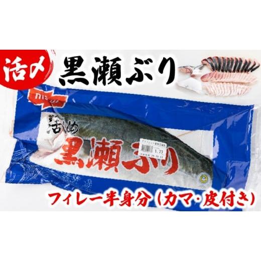 ふるさと納税 旬の鮮魚等 宮崎県 串間市 KRBF15 活じめ 黒瀬ぶりの生鮮ブリフィレー 1.5kg前後 (2026年2月配送) 2026年2月発送