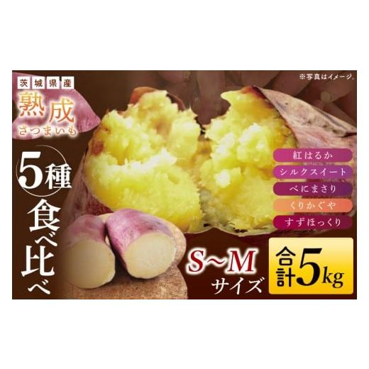ふるさと納税 野菜類 サツマイモ 茨城県 大子町 大子町産 熟成さつまいも 5種食べ比べセット 合計5kg 詰め合わせ(紅はるか・シルクスイート・くりかがや・す…