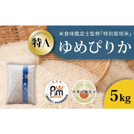 ふるさと納税 米 ゆめぴりか 北海道 当麻町 北海道 農家直送 米食味鑑定士 三ツ星お米マイスター 栽培 監修 舟山農産 令和7年産特別栽培米ゆめぴりか 5kg