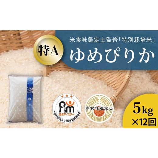 ふるさと納税 米 ゆめぴりか 北海道 当麻町 令和8年産新米 先行受付 農家直送 米食味鑑定士 三ツ星お米マイスター 栽培 監修 舟山農産 特別栽培米ゆめぴり…