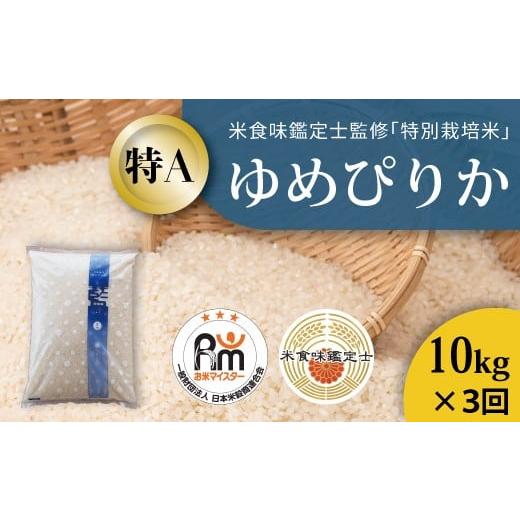 ふるさと納税 米 ゆめぴりか 北海道 当麻町 北海道 農家直送 米食味鑑定士 三ツ星お米マイスター 栽培 監修 定期便 舟山農産 令和7年産特別栽培米ゆめぴ…