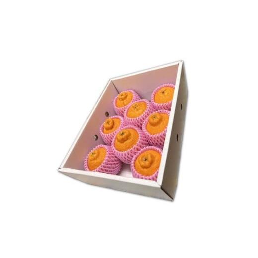 ふるさと納税 果物類 みかん 熊本県 芦北町 B341-14 不知火(3kg)