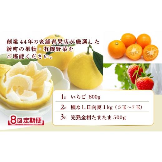 ふるさと納税 セット・詰合せ 宮崎県 綾町  全8回お届け 宮崎県綾町産 果物・野菜定期便 X20の画像
