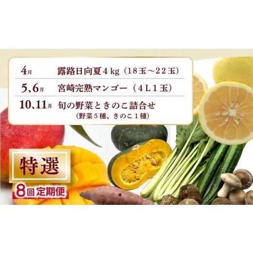 ふるさと納税 セット・詰合せ 宮崎県 綾町  全8回お届け 特選 宮崎県綾町産 果物・野菜定期便 Y20_3