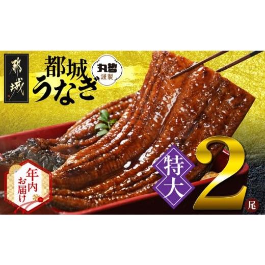ふるさと納税 うなぎ 宮崎県 都城市 年内お届け 宮崎県育ちの 特大 うなぎ蒲焼2尾440g以上 山椒・たれ付 2025年12月15日〜31日お届け _16-M301-HNY_(都城市) …