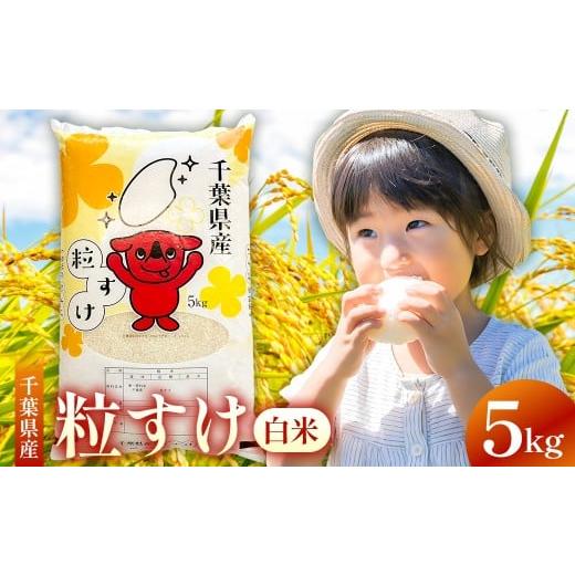 ふるさと納税 米 千葉県 南房総市 2025年度産 新米 千葉県産粒すけ 白米 5kg mi0068-0006 粒すけ 米 お米 新米 精米 ごはん ご飯 白米 おにぎり お弁当 和食 …