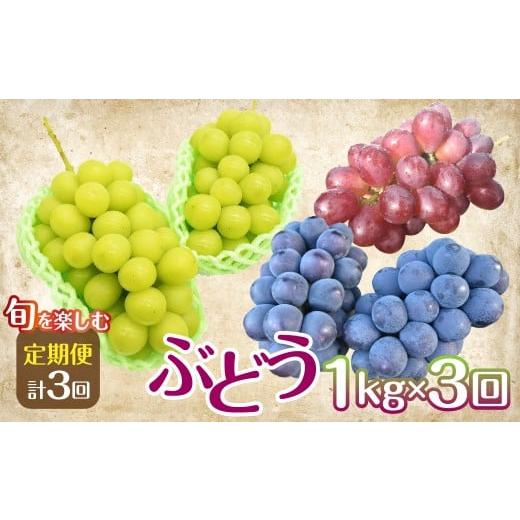 ふるさと納税 ぶどう マスカット 山梨県 笛吹市 2026年発送 旬を楽しむ ぶどう1.0kg×3回お届け便 [2026年 先行予約 ぶどう 葡萄 シャインマスカット …