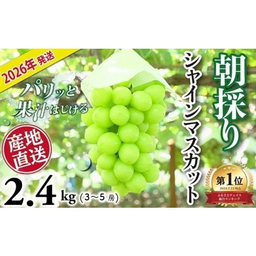 ふるさと納税 ぶどう マスカット 山梨県 大月市 2026年発送分 シャインマスカット 2.4kg 3~ 5房 おすすめ 人気 山梨県 産地直送 フルーツ ブドウ 果物 ぶどう…