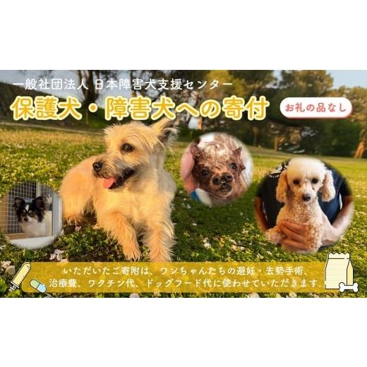 ふるさと納税 生き物 静岡県 藤枝市 返礼品なし 障害犬 保護犬の支援 ハッピープラン 保護 支援 里親 譲渡 治療 餌 犬 動物愛護 藤枝市 静岡県 ハッピープラ…