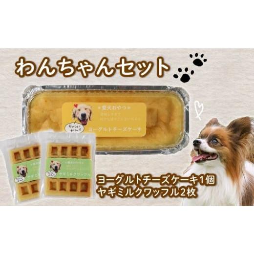 ふるさと納税 ケーキ・カステラ チーズケーキ 静岡県 藤枝市 愛犬用 ワッフル 2枚 ヨーグルト チーズケーキ 1個 セット ケーキ ペット おやつ 愛犬 わんちゃん…