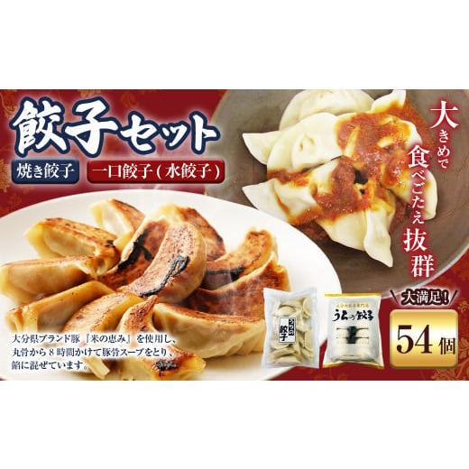 ふるさと納税 餃子 大分県 豊後大野市 051-1169x1 焼き餃子と一口餃子(水餃子)「Aセット」合計54個 タレ付き 焼き餃子 一口餃子 水餃子 餃子 ぎょうざ ギョ…