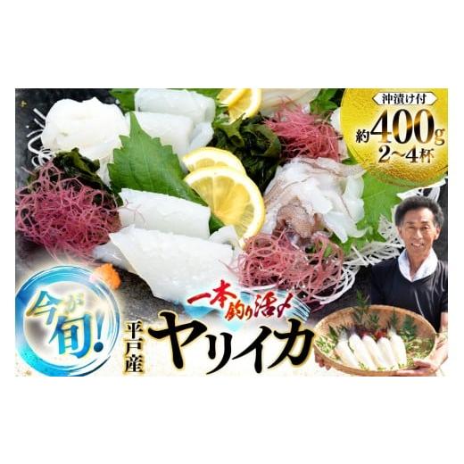 ふるさと納税 イカ 長崎県 平戸市 イカ 刺身 今が旬の ヤリイカ( 沖漬け 付)2〜4杯 約400g 先行予約 漁師の店満月 長崎県 平戸市 hr42bgy420485 おつまみ 海…