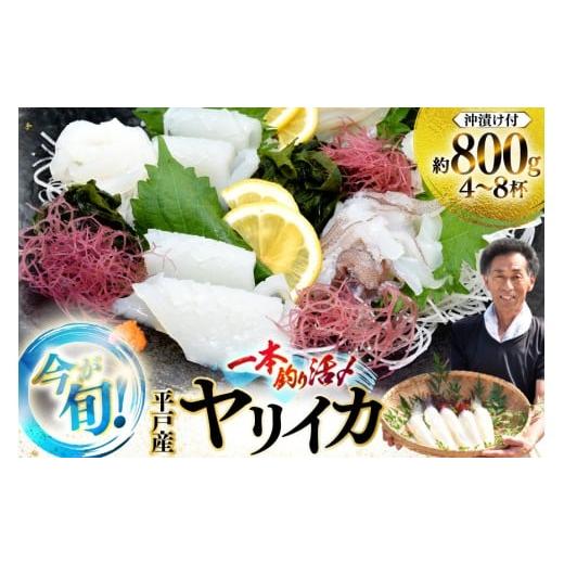 ふるさと納税 イカ 長崎県 平戸市 刺身 鮮魚 今が旬の ヤリイカ ( 沖漬け 付)4〜8杯 先行予約 漁師の店満月 長崎県 平戸市 hr42bgy420484 おつまみ 海鮮 漬…