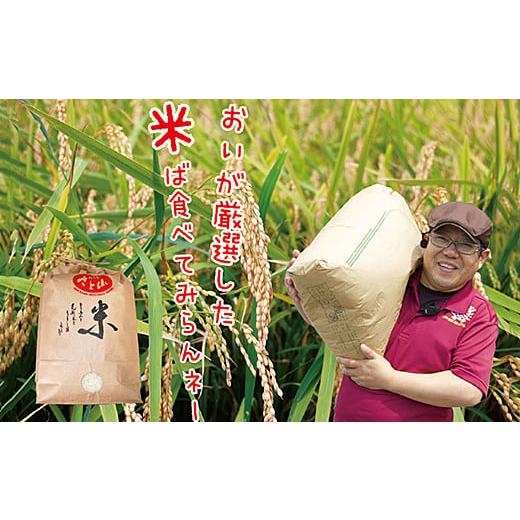 ふるさと納税 米 コシヒカリ 佐賀県 佐賀市 新米 令和7年産 佐賀市三瀬村産「コシヒカリ」15kg(5kg×3袋):B485-002