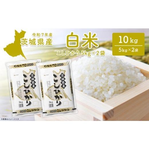 ふるさと納税 米 コシヒカリ 茨城県 境町 令和7年産/白米 茨城県産 コシヒカリ 10kg (5kg×2袋) 令和8年1月内発送 米 精米 小分け 2025年産 K2654 令和7年産…