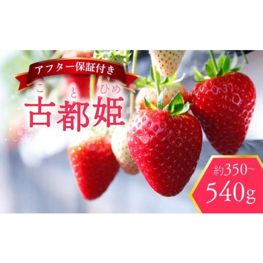 ふるさと納税 いちご 奈良県 奈良市 いちご 古都姫 約540g 270g×2パック 超希少品種 2026年2月発送 冷蔵 小分け 果物 スイーツ デザート フルーツ ベリー ふ…