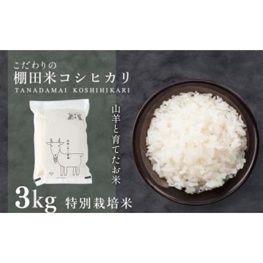 ふるさと納税 米 コシヒカリ 福井県 敦賀市 数量限定 令和7年産 福井県産 特別栽培米 『コシヒカリ』3kg 真空パック (単一原料米) 山羊と育てた 福井のおいし…
