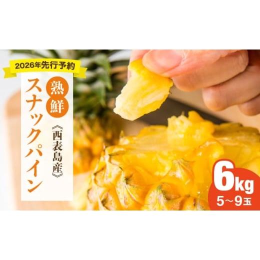 ふるさと納税 果物類 沖縄県 竹富町 手でちぎって食べる楽しさ 熟鮮スナックパイン6kg(5〜9玉)2026年 先行予約 沖縄 西表島 6kg(5〜9玉)