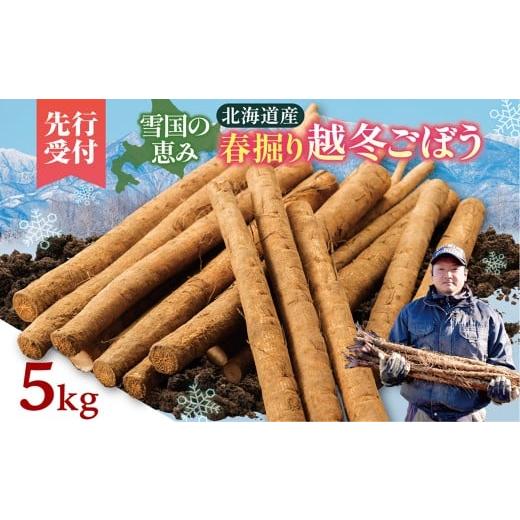 ふるさと納税 人参・大根・他根菜 北海道 清水町 先行受付 2026年4月頃〜発送開始 北海道十勝清水町産 春堀り 新鮮 越冬ごぼう 5kg 北海道産 ごぼう 土付ごぼ…