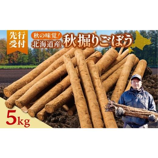 ふるさと納税 人参・大根・他根菜 北海道 清水町 先行受付 2026年10月頃〜発送開始 北海道十勝清水町産 秋堀り 新鮮 ごぼう 5kg 北海道産 ごぼう 土付ごぼう …