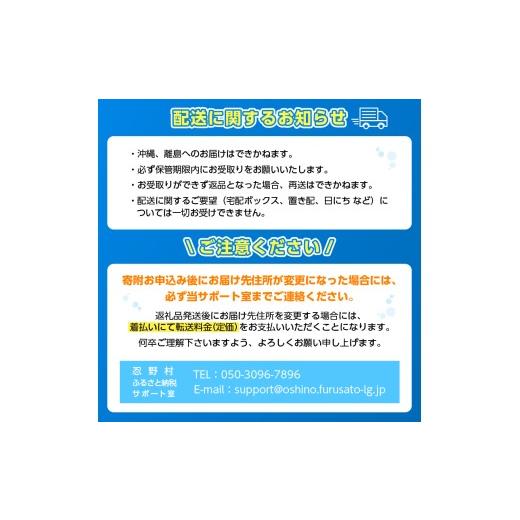 ふるさと納税 水・ミネラルウォーター 500mL〜999mL 山梨県 忍野村  チョイス限定 年3回・隔月配送 富士山蒼天の水 500ml×48本（2ケース）ラベルレス 離島不…の画像